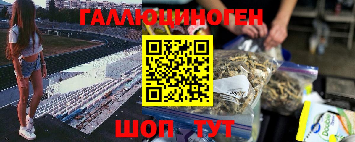 Галлюциногенные грибы GOLDEN TEACHER  Вход с VPN  Заинск 
